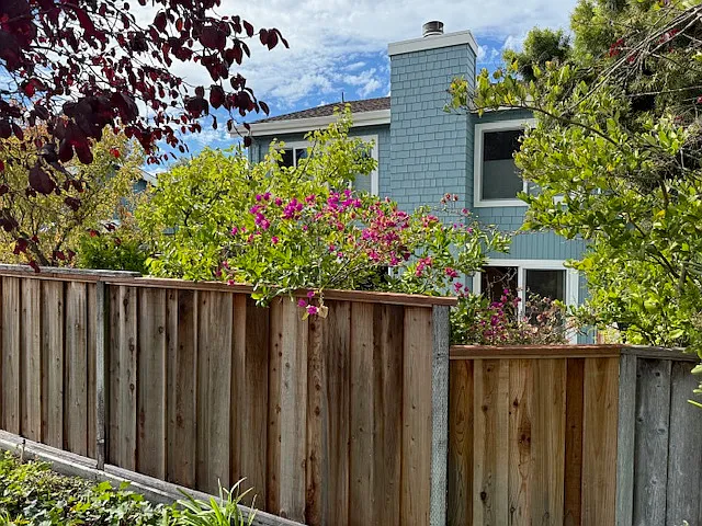 6104 Chateau Ct — Photo 41