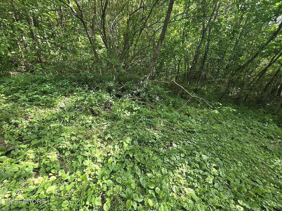 2nd image of Cemetery Rd