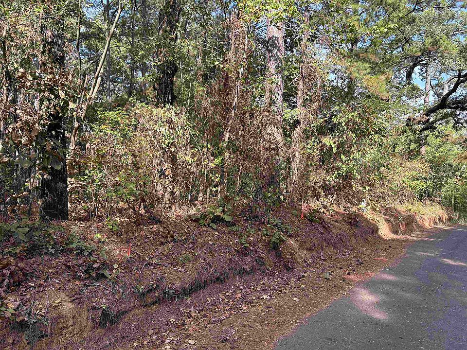 1st image of 0 Mims Chapel Rd