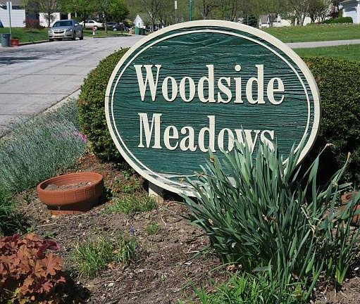 4th image of 380 Woodside Meadows Pl