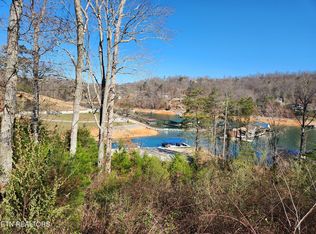 203 Waterside Ln, La Follette, TN 37766