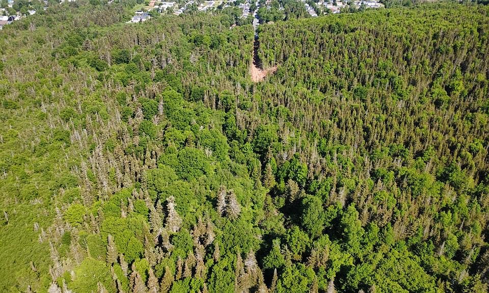1st image of 40-60 Tamarack Avenue