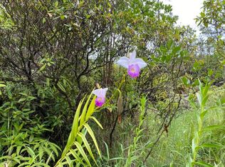 Ooaa Road Rd #6-LOT 4129, Mountain View, HI 96771