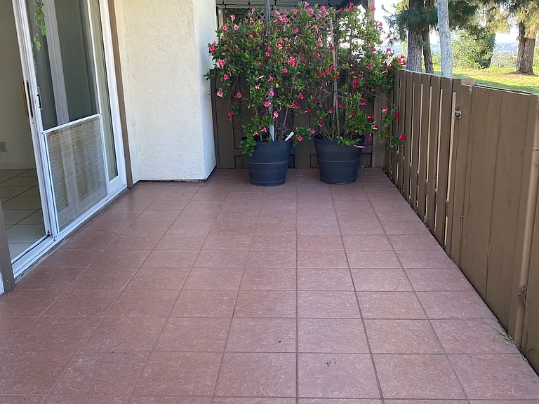 Otay Lakes Rd — Photo 12