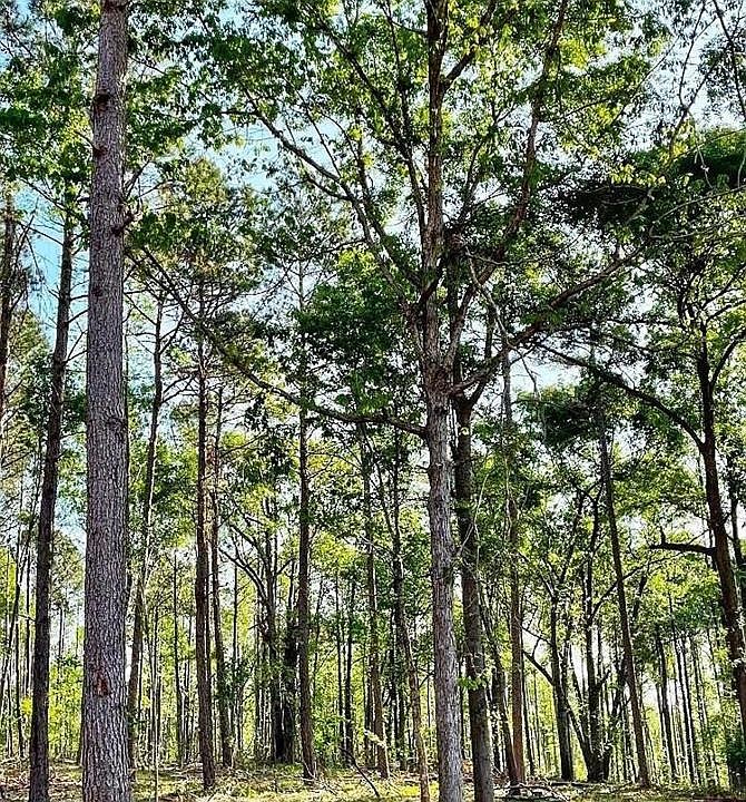 1st image of 1660 Watkins Farm Rd #18