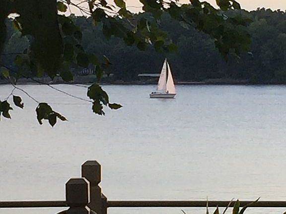 View from Front Deck