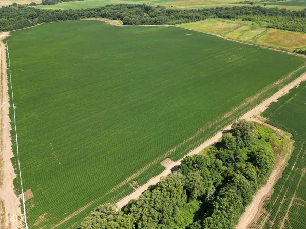 0 Sturdivant White Rock Rd, Drew, MS 38737