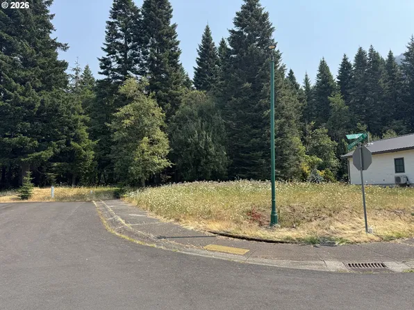 910 SW Spelling Pl #1, Cascade Locks, OR 97014