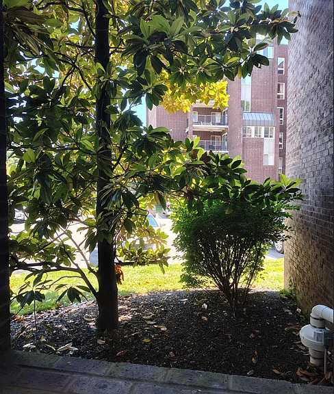 Residences at Pomona Park — Photo 89