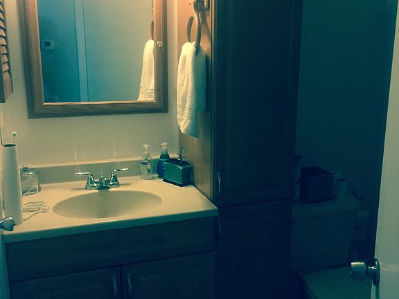 Updated bathroom with linen tower