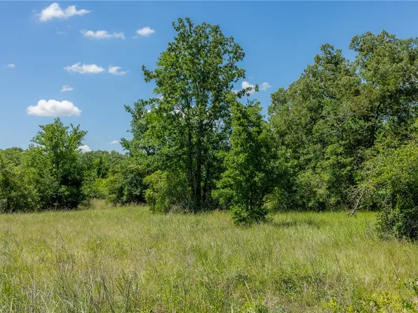 10677 Brushwood Cutoff, Bedias, TX 77831