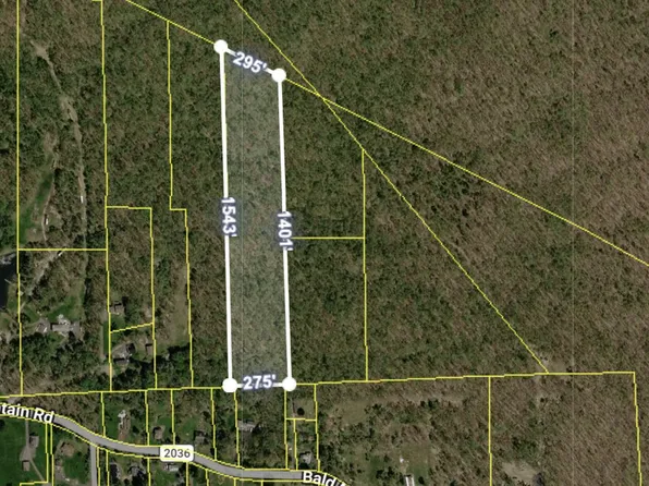 Bald Mountain Rd, Wilkes Barre, PA 18702