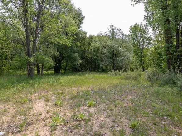 197 E Elm St, Cedar Springs, MI 49319