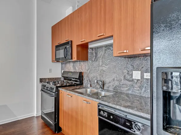 212 E Cullerton St APT 1007, Chicago, IL 60616