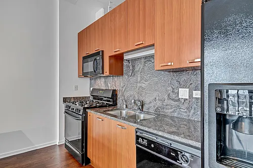 212 E Cullerton St #1007 Photo 1