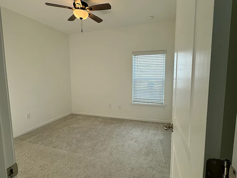 42 Golden Fern Dr — Photo 11