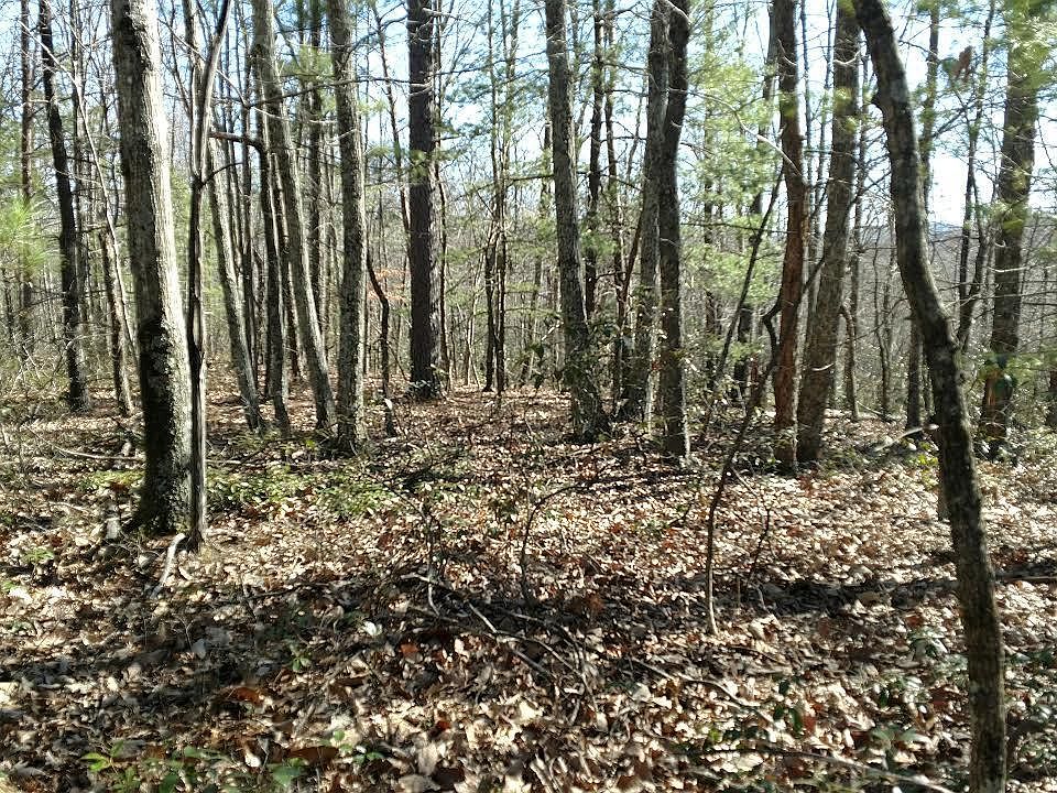 1st image of 0 Blue Grass Trl