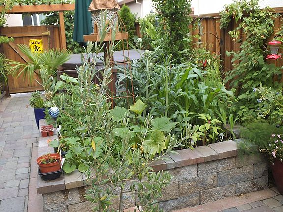 Raised Bed Garden