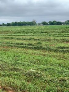 3052 Fm 3321, Ravenna, TX, 75476
