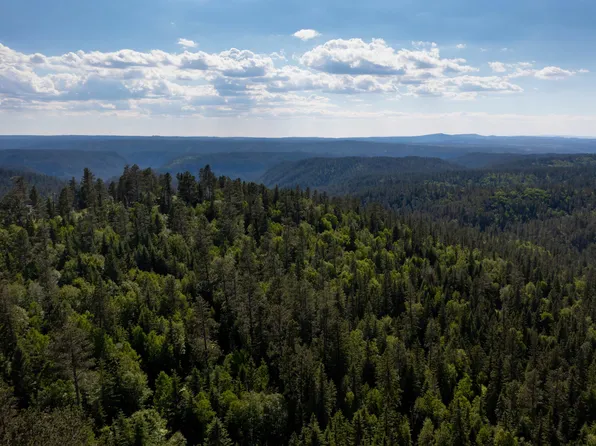 LOT 86 Deer Mountain Rd, Lead, SD 57754