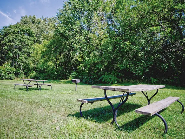 Barbecue and Picnic Area
