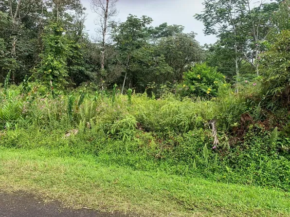 Mayzee Rd Lot 1111, Pahoa, HI 96778
