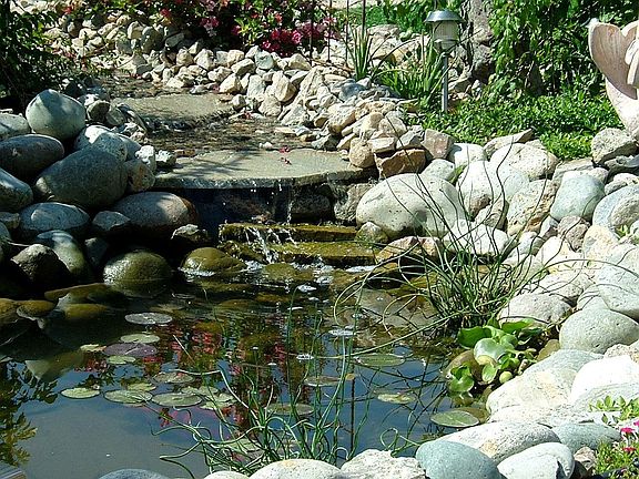 Pond with stream