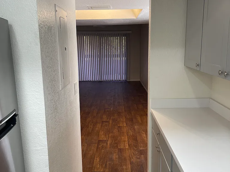 1215 E Lemon St #217 — Photo 7