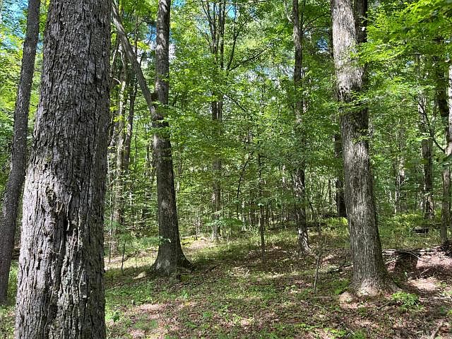 1st image of Samuelson Rd