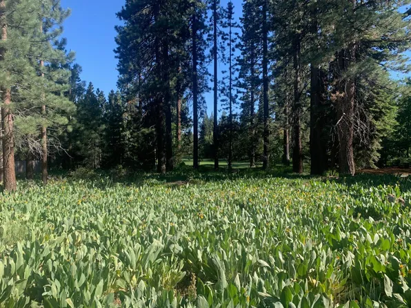 7926 Tiger Ave, Tahoe Vista, CA 96148