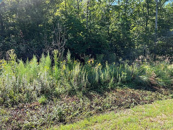 4th image of 0 Bald Hill Ct #91