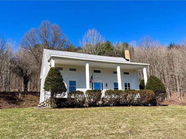1217 County Highway 34, Schenevus, NY 12155