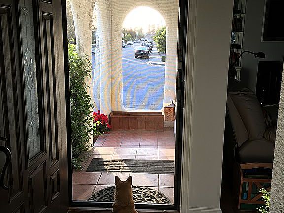 View up Los Arboles Dr