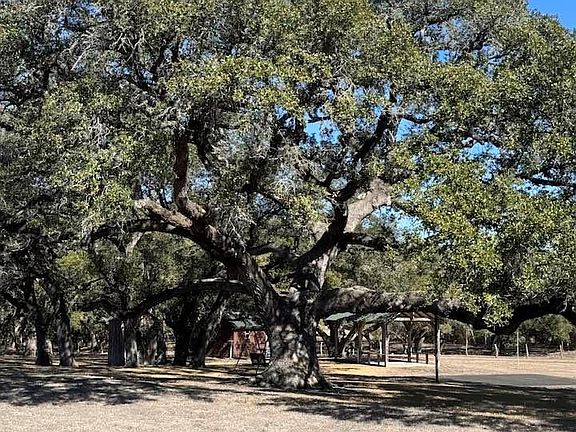 3rd image of Wolters And Kainer Rd