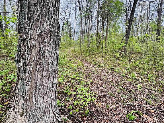 5th image of TRACT 2 E Pine Rd