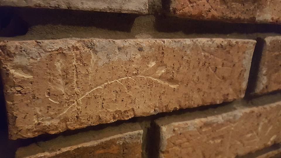Beautiful detail on bricks