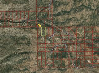 Pinion Pne, Pioche, NV 89043