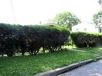 1st image of 21 N Goodwin Ave
