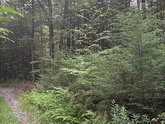 4th image of 0 Access Road MAP 18A LOT 15
