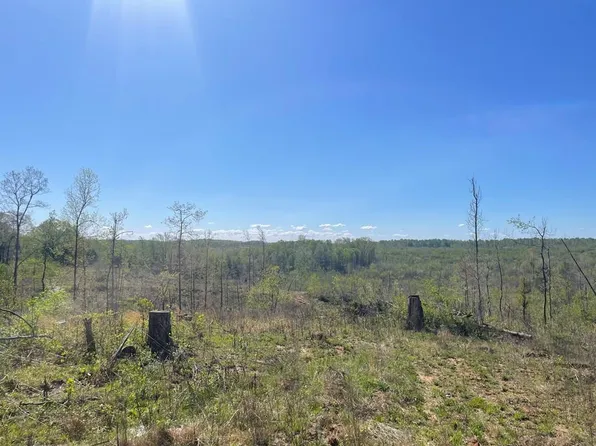 0 Bunn School Rd, Paris, TN 38242