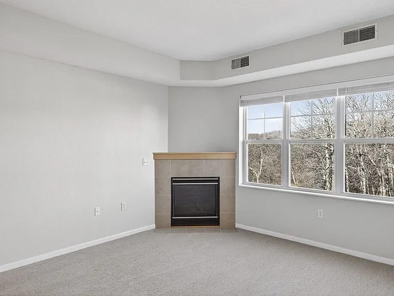 Lake Susan Apartments — Photo 43