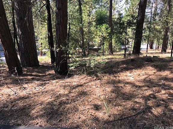 4th image of 181 Forest Meadows Dr