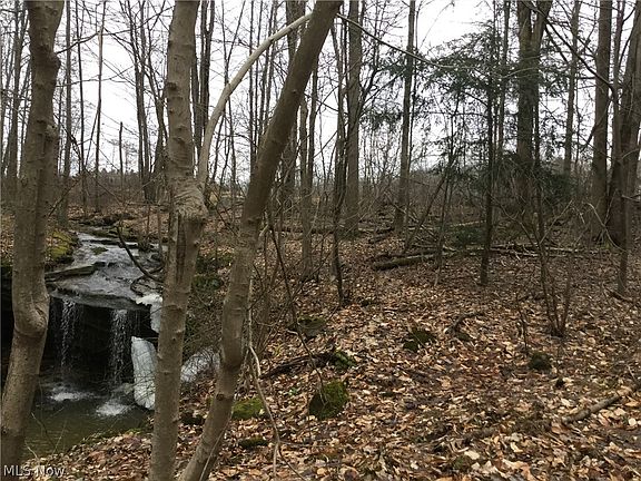 2nd image of Harmony Falls Ln