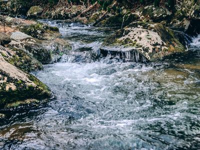0 Bottom Creek Rd, Bent Mountain, VA, 24059