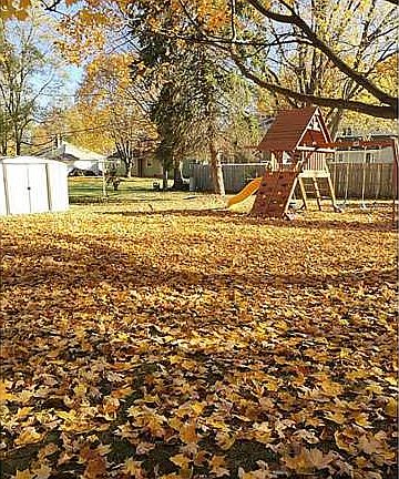 3rd image of 111 Elbar Dr