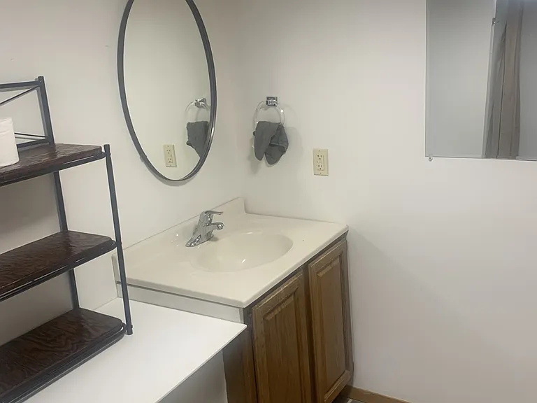 Full bathroom with shower in lower level.