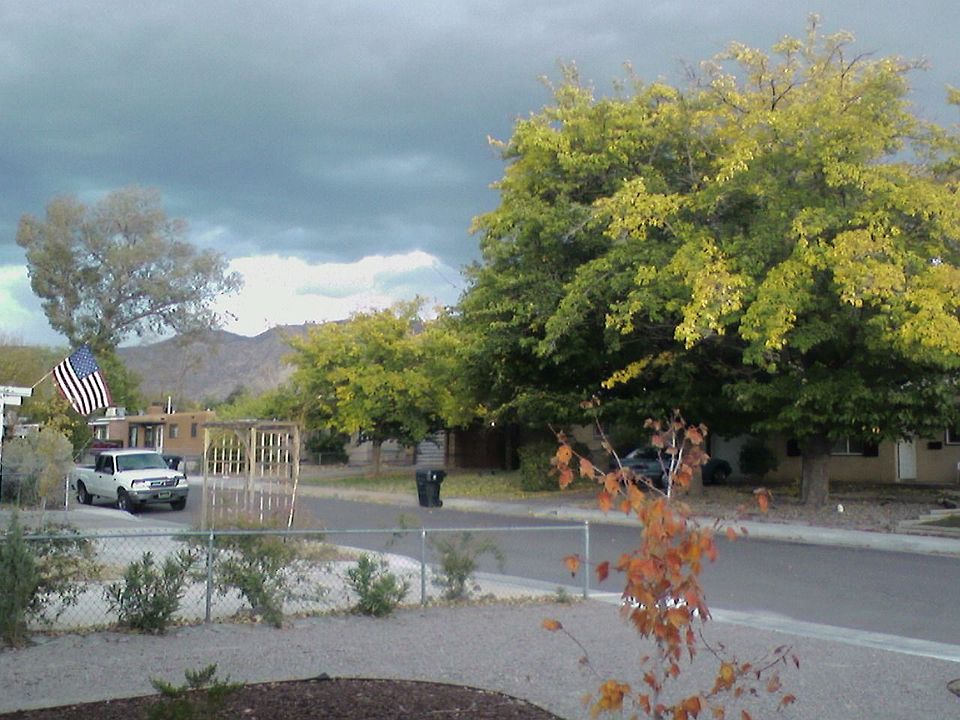 Front yard looking NE