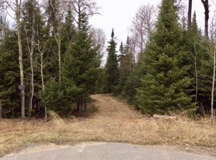 Tbd Nett Lake Rd, Orr, MN 55771