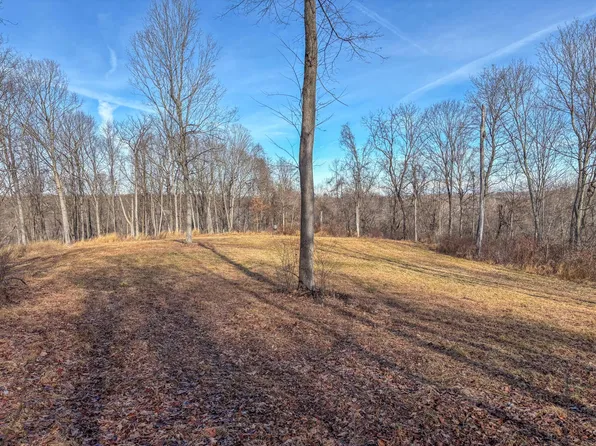 0 Dougan Rd, Patriot, OH 45658