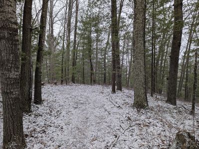 V/l 0 W Crooked Lake Rd, Lake City, MI, 49651